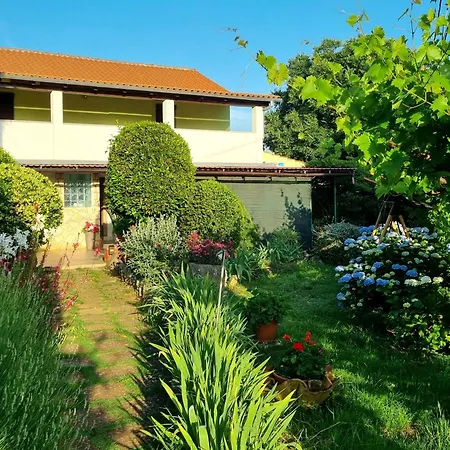 Lino Apartment Skrbčići